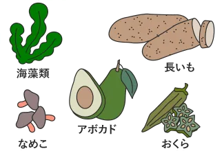 ヤセ菌を育てる