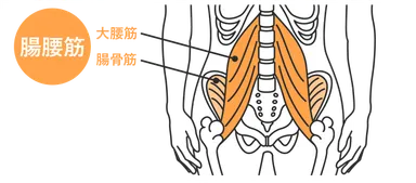 ヤセ菌をキープする