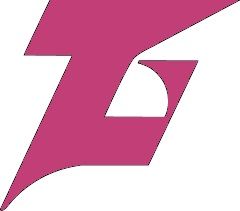 株式会社富樫外装