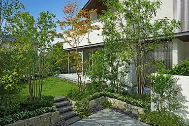 「5本の樹」計画(戸建住宅の一例)