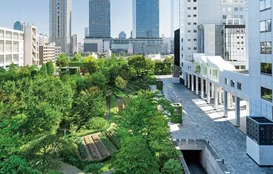 「5本の樹」計画(都市緑化の一例)