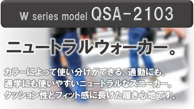 QSA-2103-1