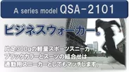 QSA-2101-1