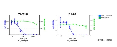変異株に対する5-ALAの効果(Caco-2細胞・ヒト由来)