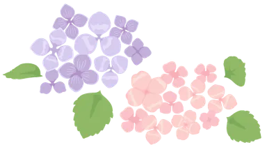 紫陽花イメージイラスト