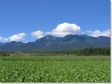 長野県南牧村で「好きにいこうｍｍｍ」を開催