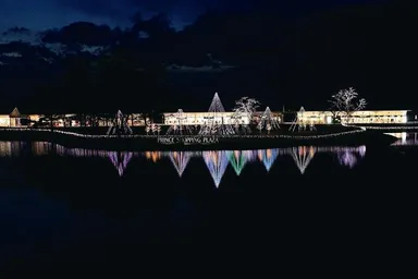 ウインターイルミネーション(昨年の画像1)