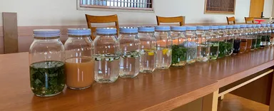 少しの傷や別製品作成の過程で廃棄されてしまっていた果実などを、壱岐の生産者を巡って説明し、譲り受けてジンの素材に。焼酎に漬け込みテイスティングを繰り返す