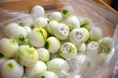 緑色の未熟な柚子の皮だけを使って作られる柚子胡椒。残った中身の部分を生産者に分けていただく