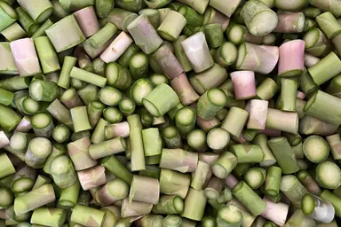 出荷の際にサイズ調整の為に切り落とされたアスパラガス。年間30tも廃棄されている