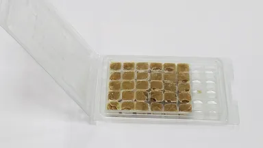 繰り返し開閉可能なパッケージ