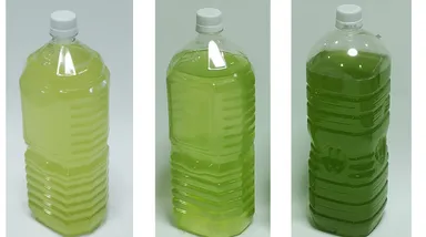 1週間、2週間、3週間経過写真