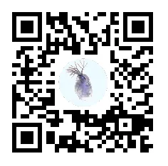 クラウドファンディングサイトQRコード