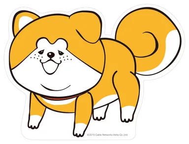 秋田犬ポストカード「秋田犬たれみみだいちゃん」