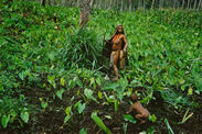 大石芳野 《ニューギニア：タロイモ畑の母子》 1973年