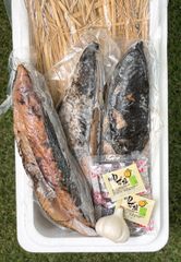 アウトドアレジャーのお供に
