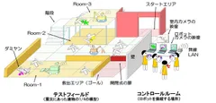 コグナビフィールドでの救助競技
