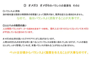 脂質のバランスの重要性