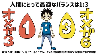 人間の脂質バランス