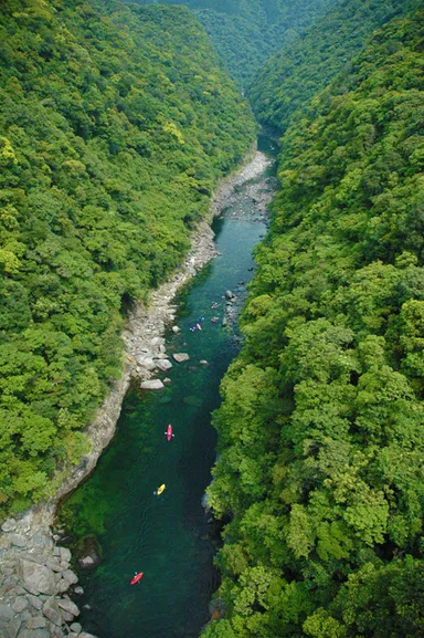 緑の渓谷、安房川
