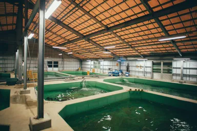 はじめてのキッシュ1