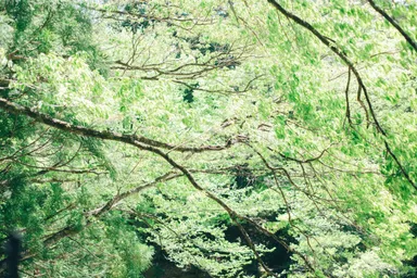 はじめてのキッシュ7