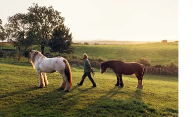 『NO SIGNAL　 街を出て、大自然の中で暮らすことを選んだ 10人の生き方』中面