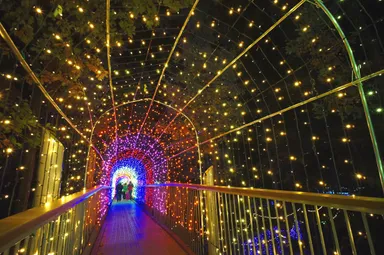 大町・松川地区スターダストアーチ