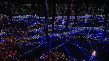 大町・松川地区フォレスト・ファンタジー