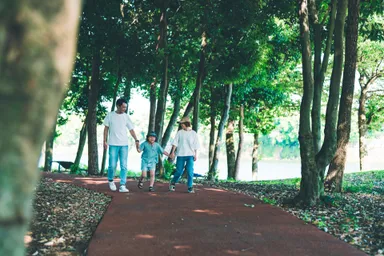森の遊歩道でお散歩タイム