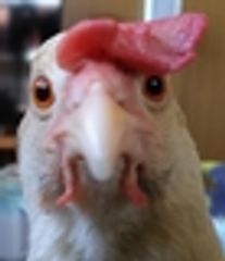 kana’s tail(カナズテール)のロゴ