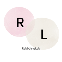 株式会社ラビシス