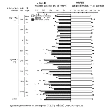 AGE化コラーゲンのB16F10細胞におけるメラニン産生に与える影響