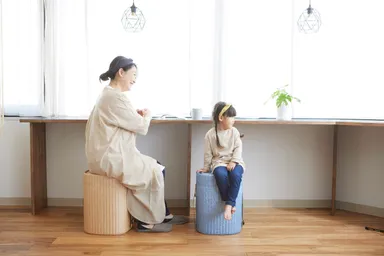 座れる防災インテリアSONAIR(ソナエア)