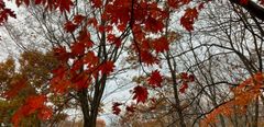 img_317034_3.jpg