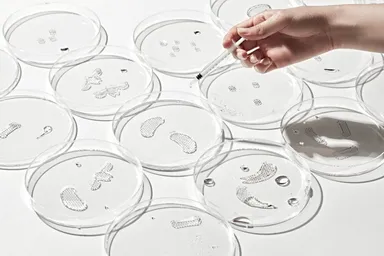 マグネシウム パッチ