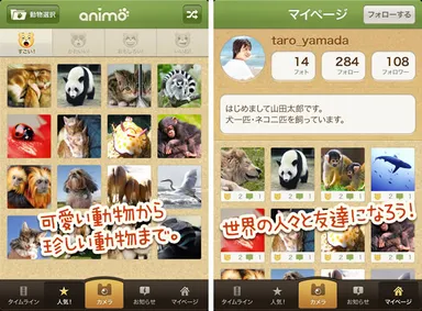 世界の動物写真が大集合！