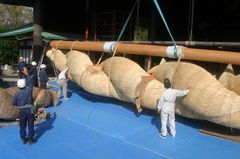 img_317717_4.jpg