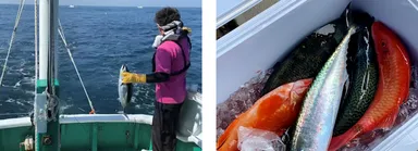 左 すさみ町の伝統漁法「ケンケン漁」　右 市場に出回らない地魚