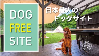 利用頻度の少ないテニスコートをドッグランへ