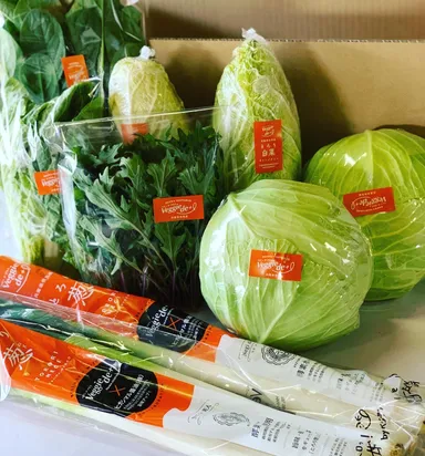 (例)5,000円／野菜セット