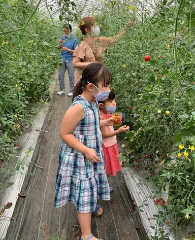 (例)10,000円／観光農園ファミリーチケット
