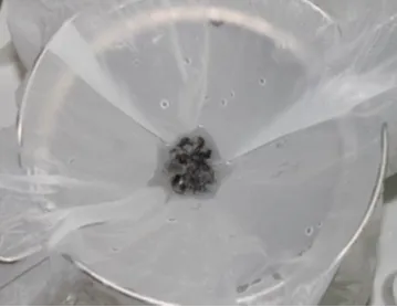 洗濯ネットなし(1回目)／試験体5