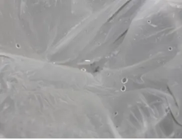 洗濯ネットあり(1回目)／試験体2