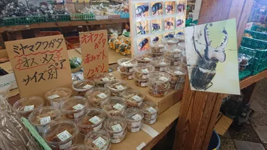 道の駅販売画像1