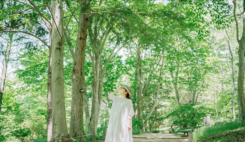 【六甲高山植物園 緊急企画】
猛暑日は植物園で過ごそう！
ひんやり六甲キャンペーン