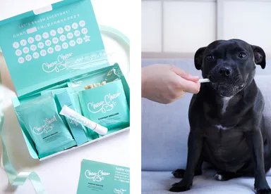 楽しく歯磨き習慣が身につく「Chew Chew」8月8日(月)新発売