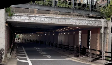 取得できる点群データの例：構造物(高架)