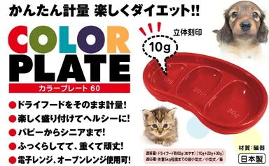 カラープレート60