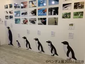 「ペンぎょ展 2022」展示イメージ